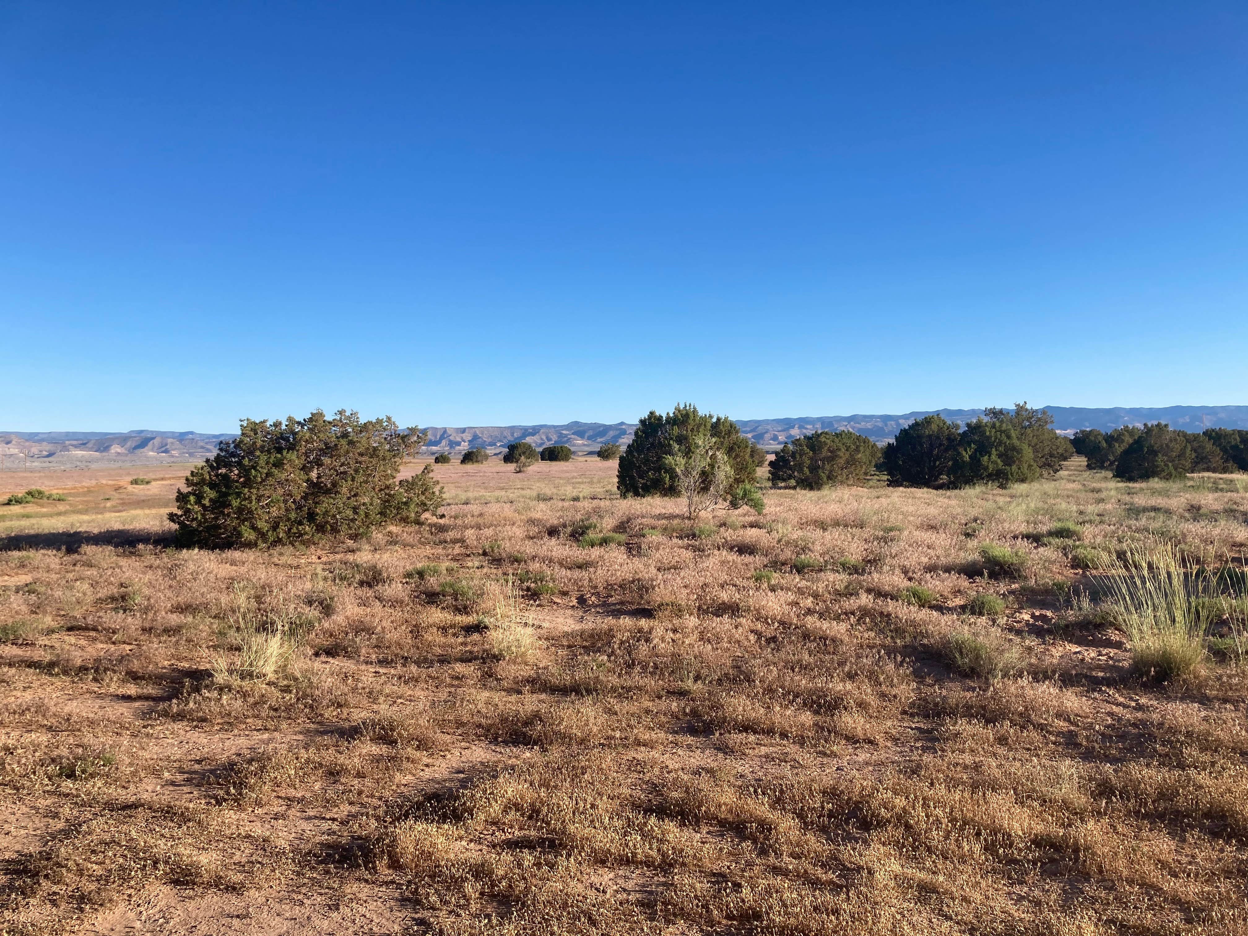Camping near Cisco Takeout: Bitter Creek Overlook Camping Area, Mack, Utah