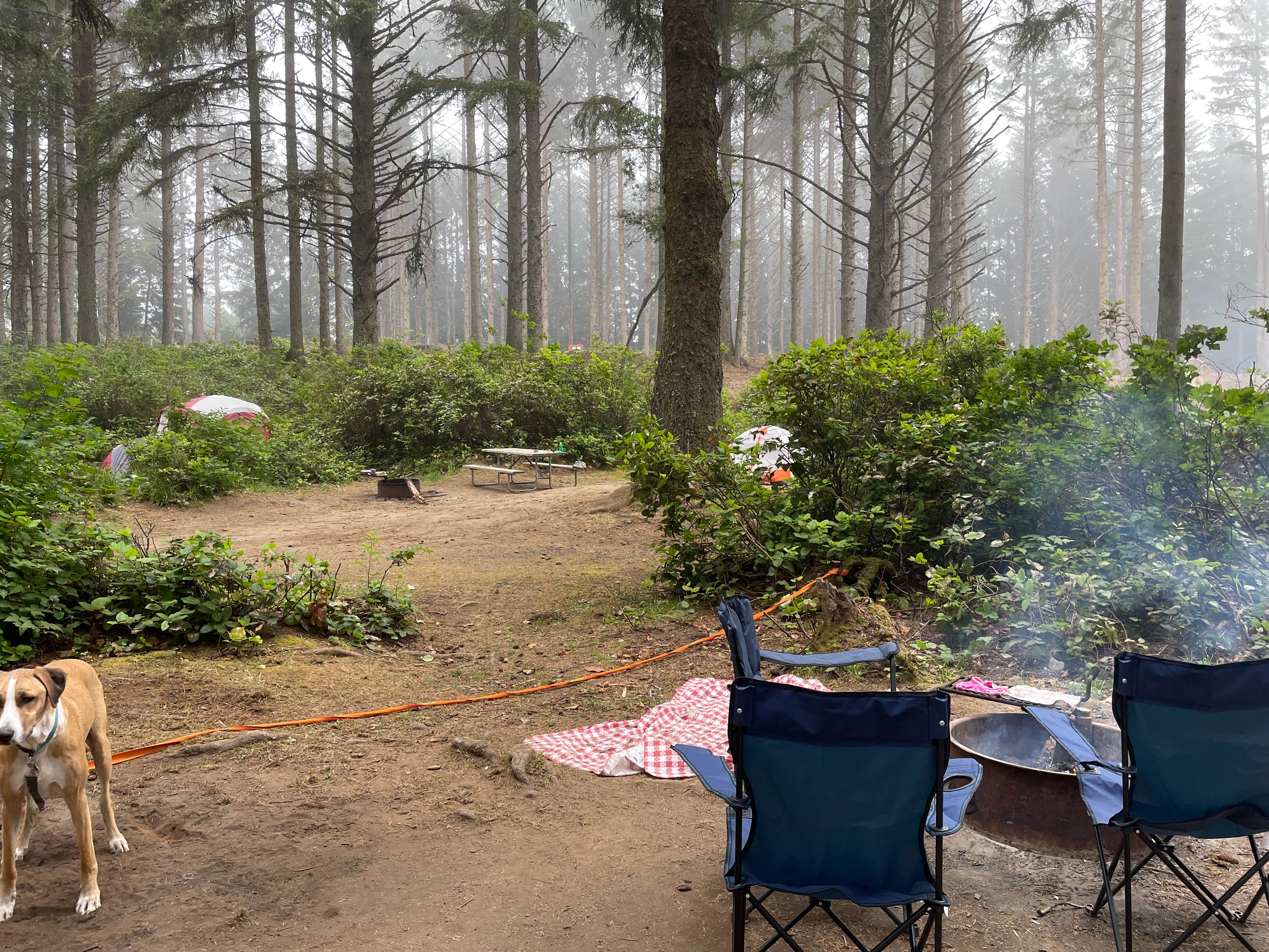 Paul J.'s photo of camping with pets at Bastendorff Beach Park near Coos Bay, OR