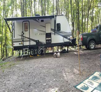 Camper-submitted photo from Woods Tall Timber Resort