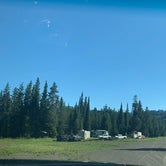 Review photo of Pilot Creek Dispersed Camping	 by Lauren C., July 24, 2022