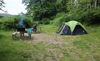 Shannon F.'s photo at Worthington State Forest Campground — Delaware Water Gap National Recreation Area near Unity House, PA