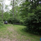 Review photo of Worthington State Forest Campground — Delaware Water Gap National Recreation Area by Shannon F., July 24, 2022