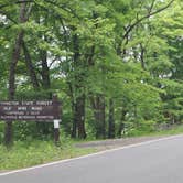 Review photo of Worthington State Forest Campground — Delaware Water Gap National Recreation Area by Shannon F., July 24, 2022