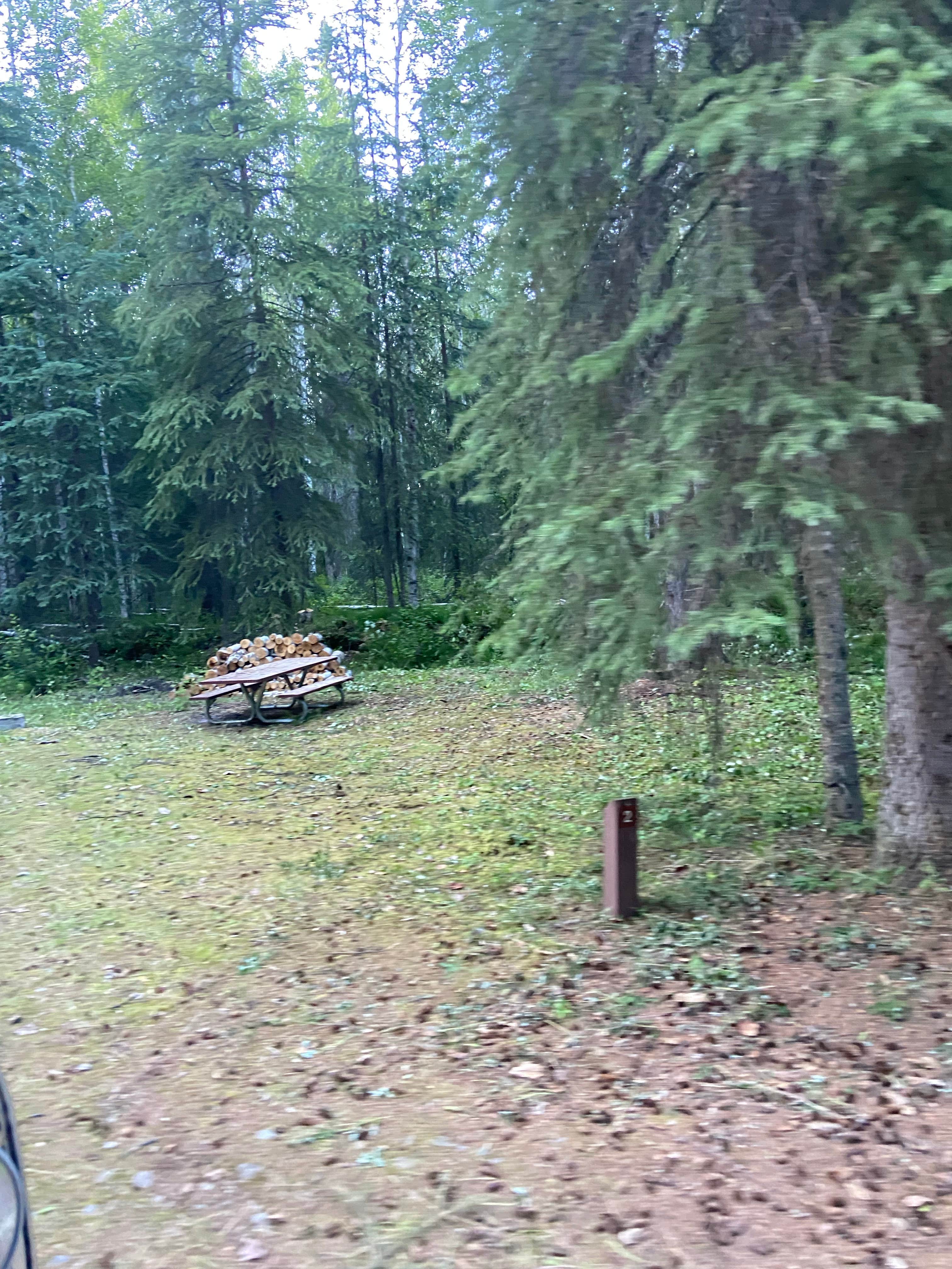 Camper-submitted photo at Upper Chatanika River State Rec Area near Salcha, AK