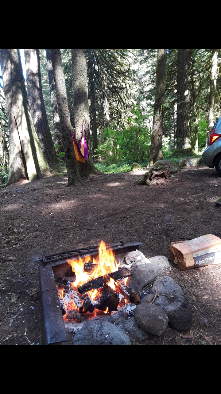 Chelsy S.'s photo at Camp Creek near Welches, OR