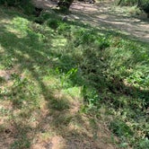 Review photo of McClendon Spring Campground by Lauren C., July 24, 2022