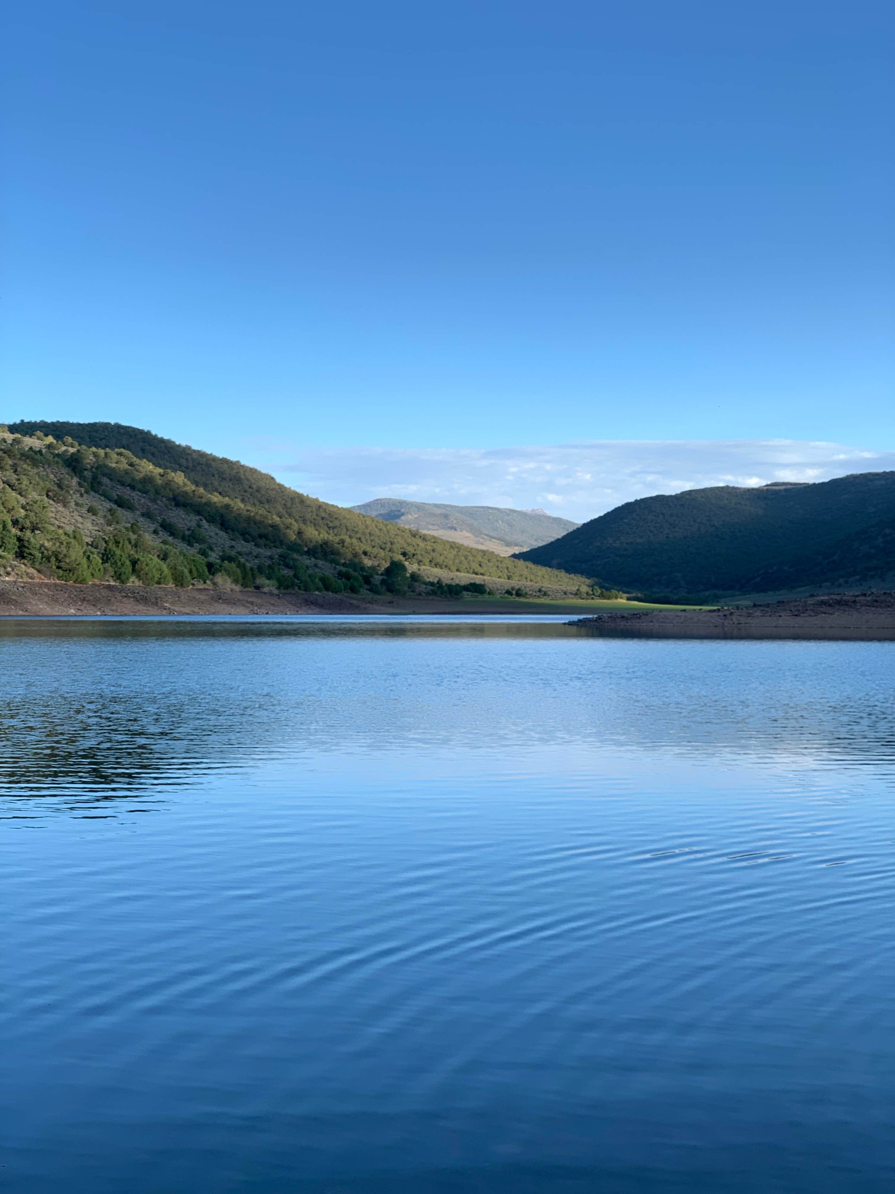 Camper submitted image from Forsyth Reservoir - 4