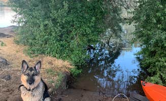 Lauren C.'s photo of camping with pets at Milner Historic Recreation Area near Burley, ID
