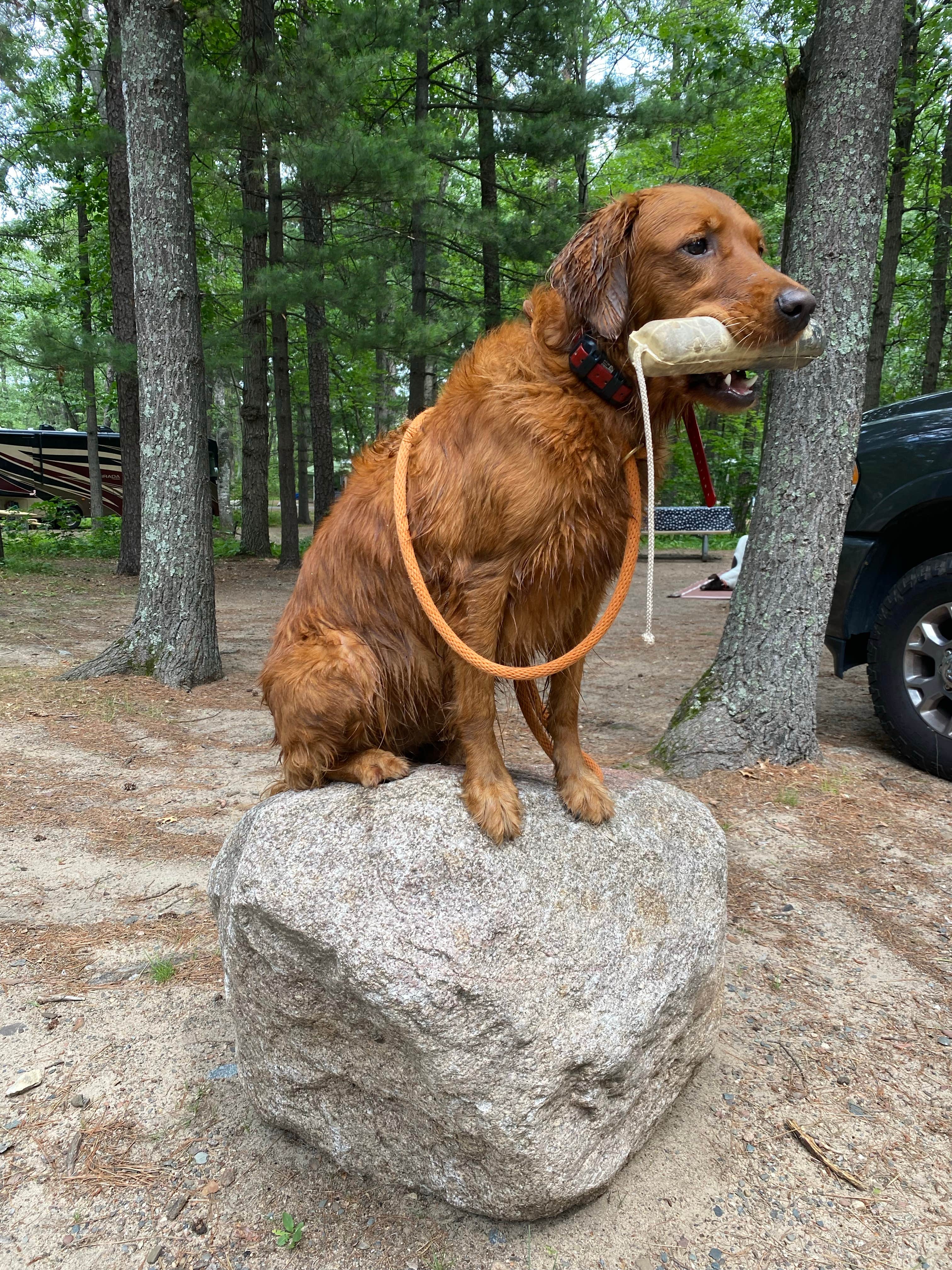 Camper-submitted photo at Crosslake Campground near Pequot Lakes, MN