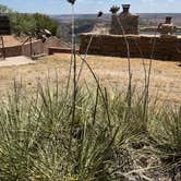 Review photo of Fortress Cliff Primitive — Palo Duro Canyon State Park by Emily C., July 24, 2022