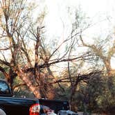 Review photo of Rio Grande Village Campground, Big Bend National Park by Emily C., July 24, 2022