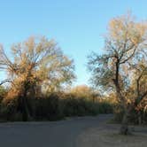 Review photo of Rio Grande Village Campground, Big Bend National Park by Emily C., July 24, 2022