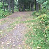 Review photo of Judge C. R. Magney State Park Campground by Jay W., July 20, 2018