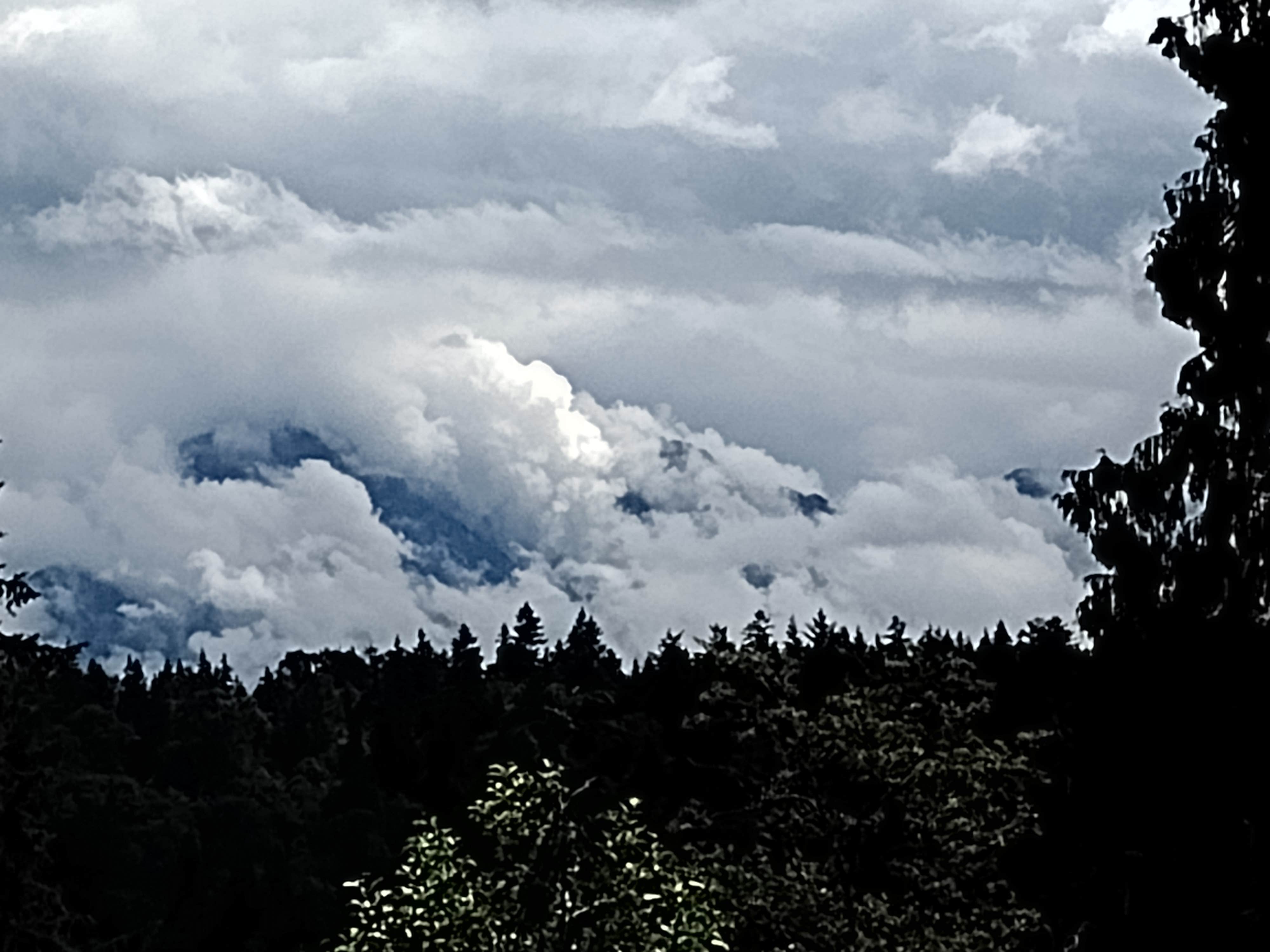 Camping near Duvalla: Eagles Reach, Sultan, Washington