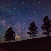 Review photo of Blue Bell Campground — Custer State Park by Theresia B., July 24, 2022