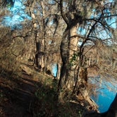 Review photo of Wagon Ford Walk-In Area — Guadalupe River State Park by Emily C., July 24, 2022