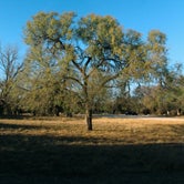 Review photo of Wagon Ford Walk-In Area — Guadalupe River State Park by Emily C., July 24, 2022