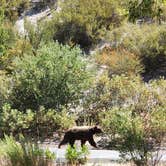 Review photo of Monte Cristo Campground by Taka B., July 24, 2022