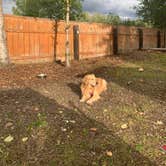 Review photo of Willow Creek Resort by Valeria G., July 24, 2022