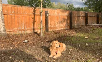 Valeria G.'s photo of camping with pets at Willow Creek Resort near Talkeetna, AK