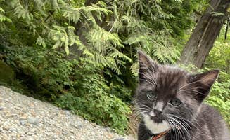 KayLani C.'s photo of camping with pets at Dougan Creek Campground in Washington
