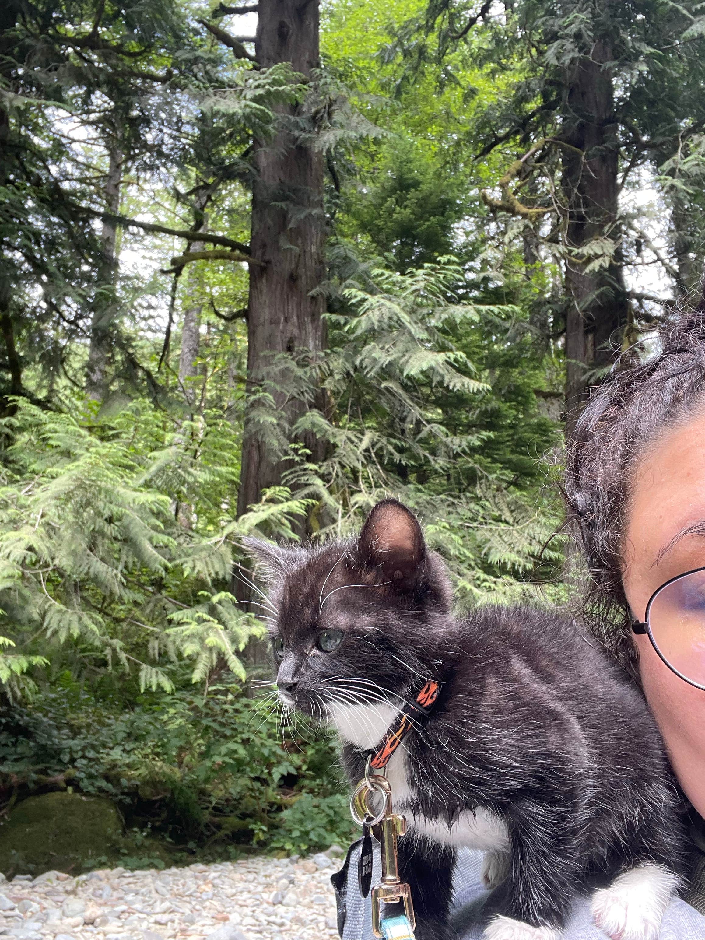 KayLani C.'s photo of camping with pets at Dougan Creek Campground near Gresham, OR