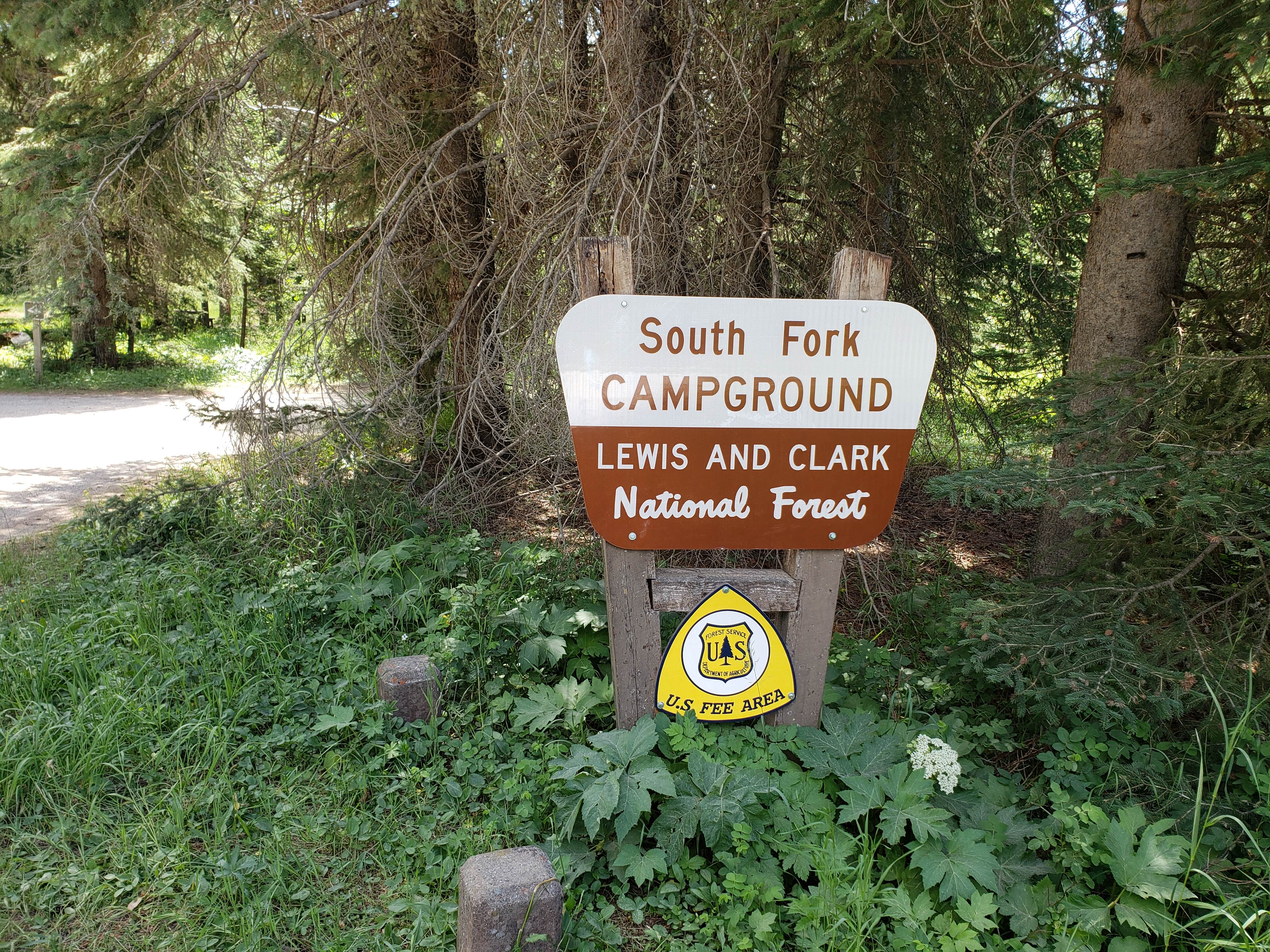 Camper-submitted photo at South Fork near Choteau, MT