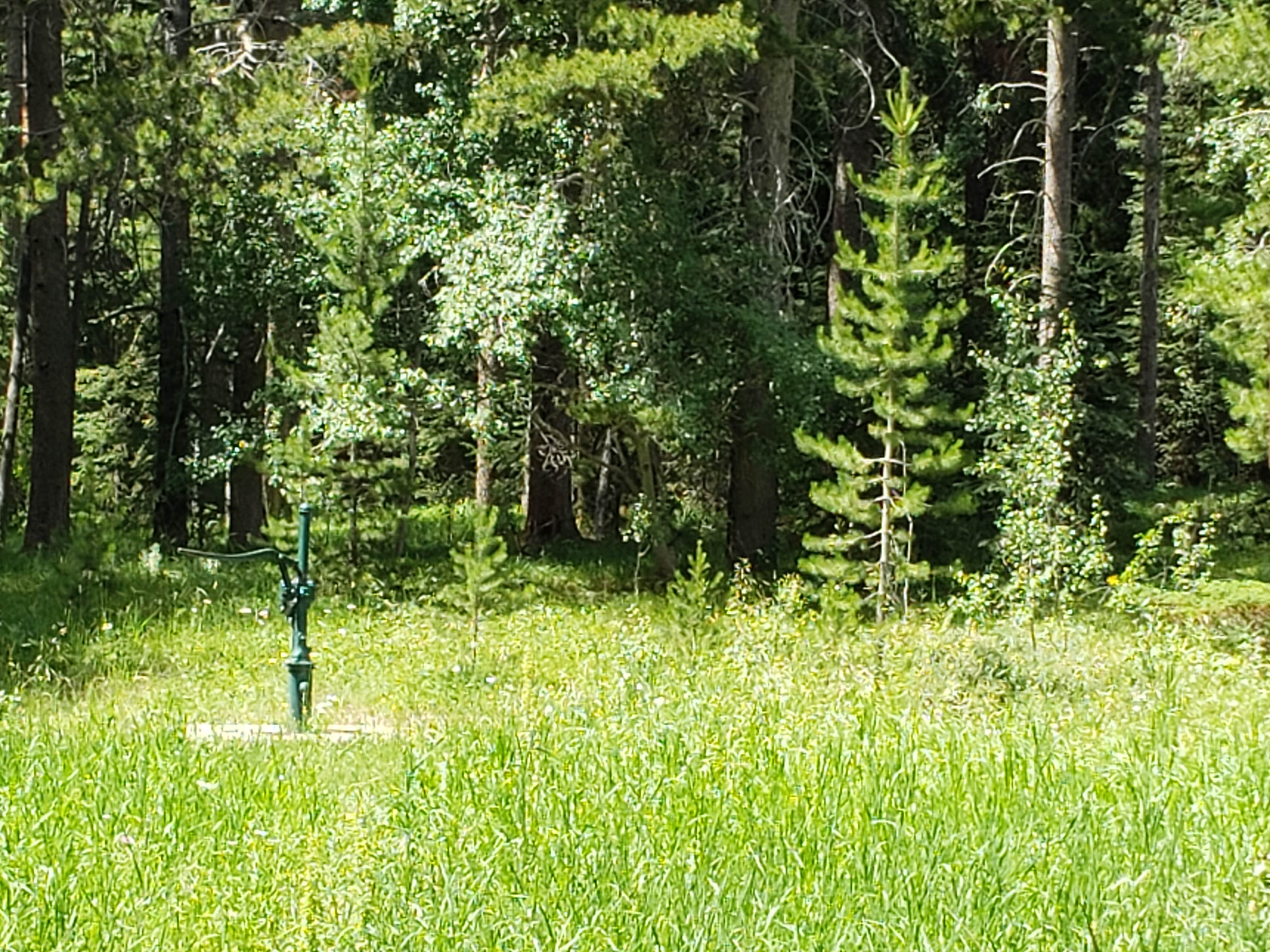 Camper-submitted photo at South Fork near Choteau, MT