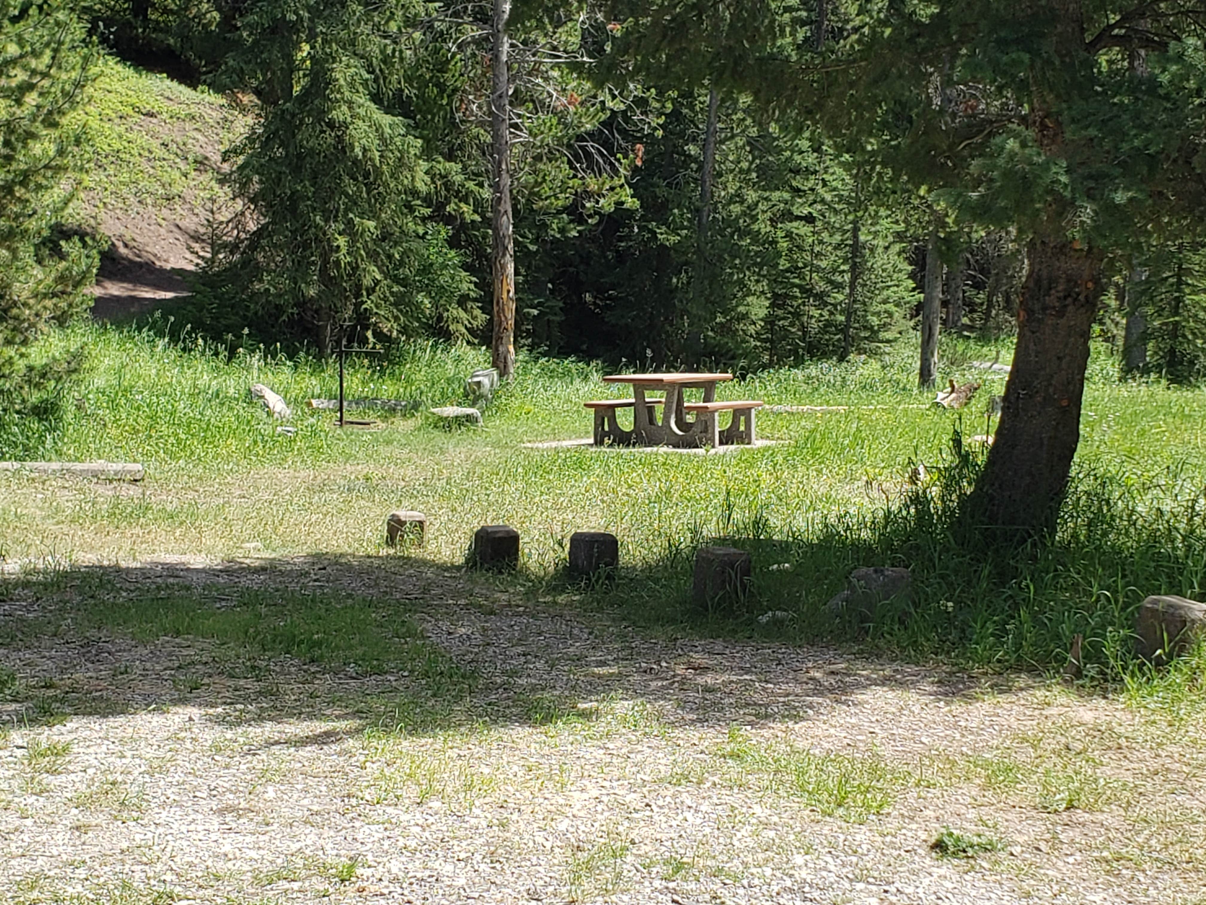 Camper-submitted photo at South Fork near Choteau, MT
