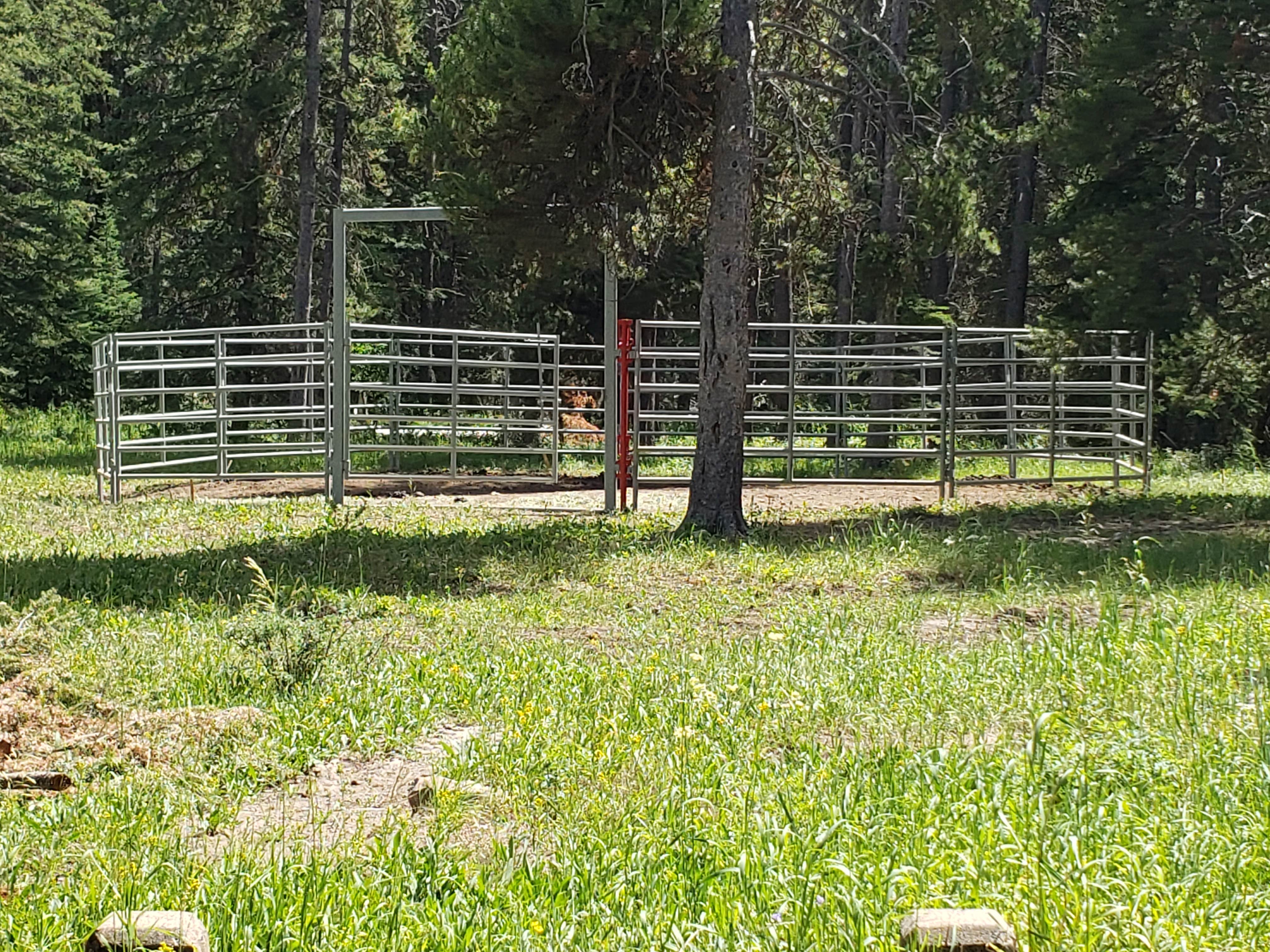 Camping near Kenck Cabin: South Fork, Augusta, Montana