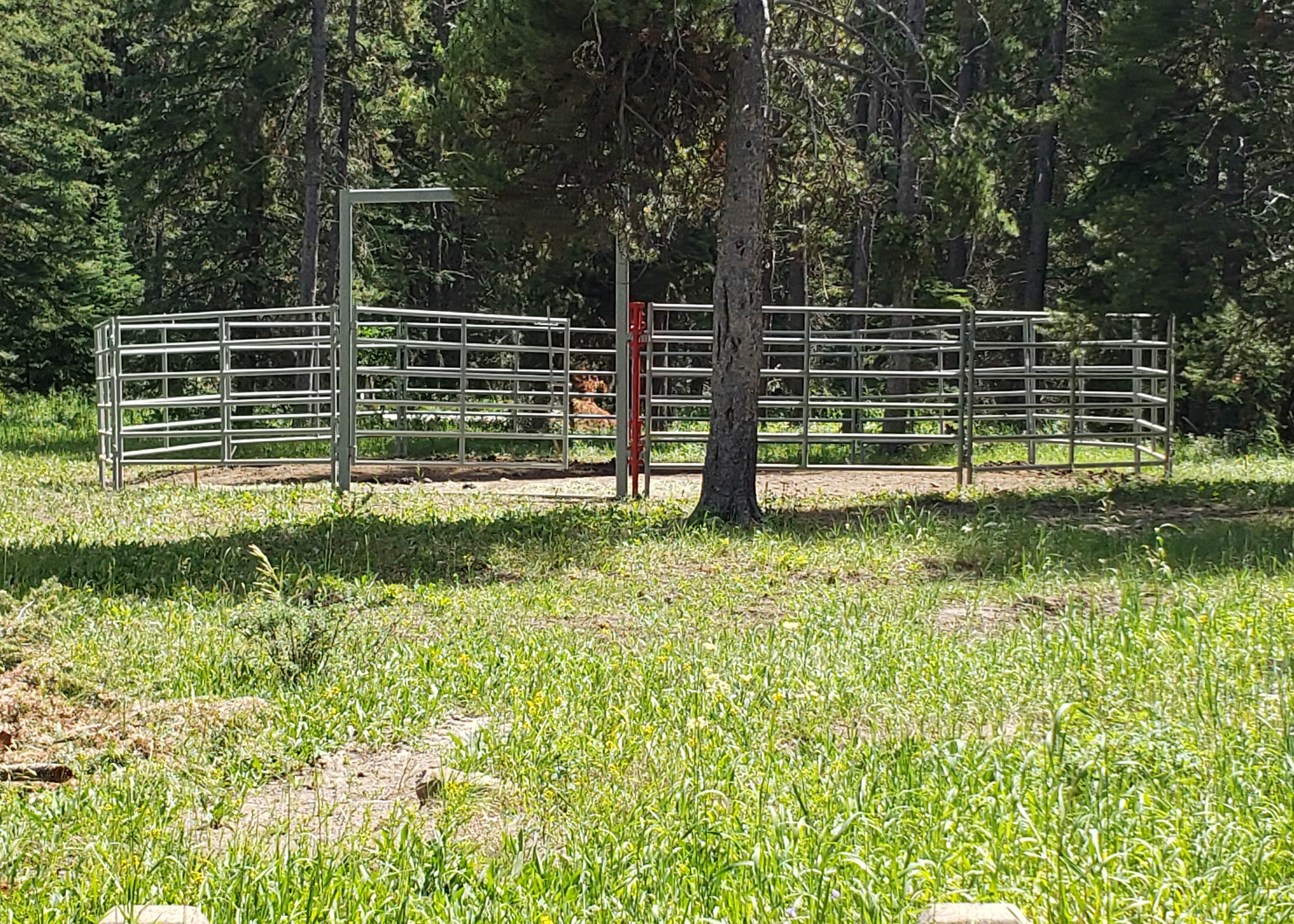 South Fork Camping The Dyrt