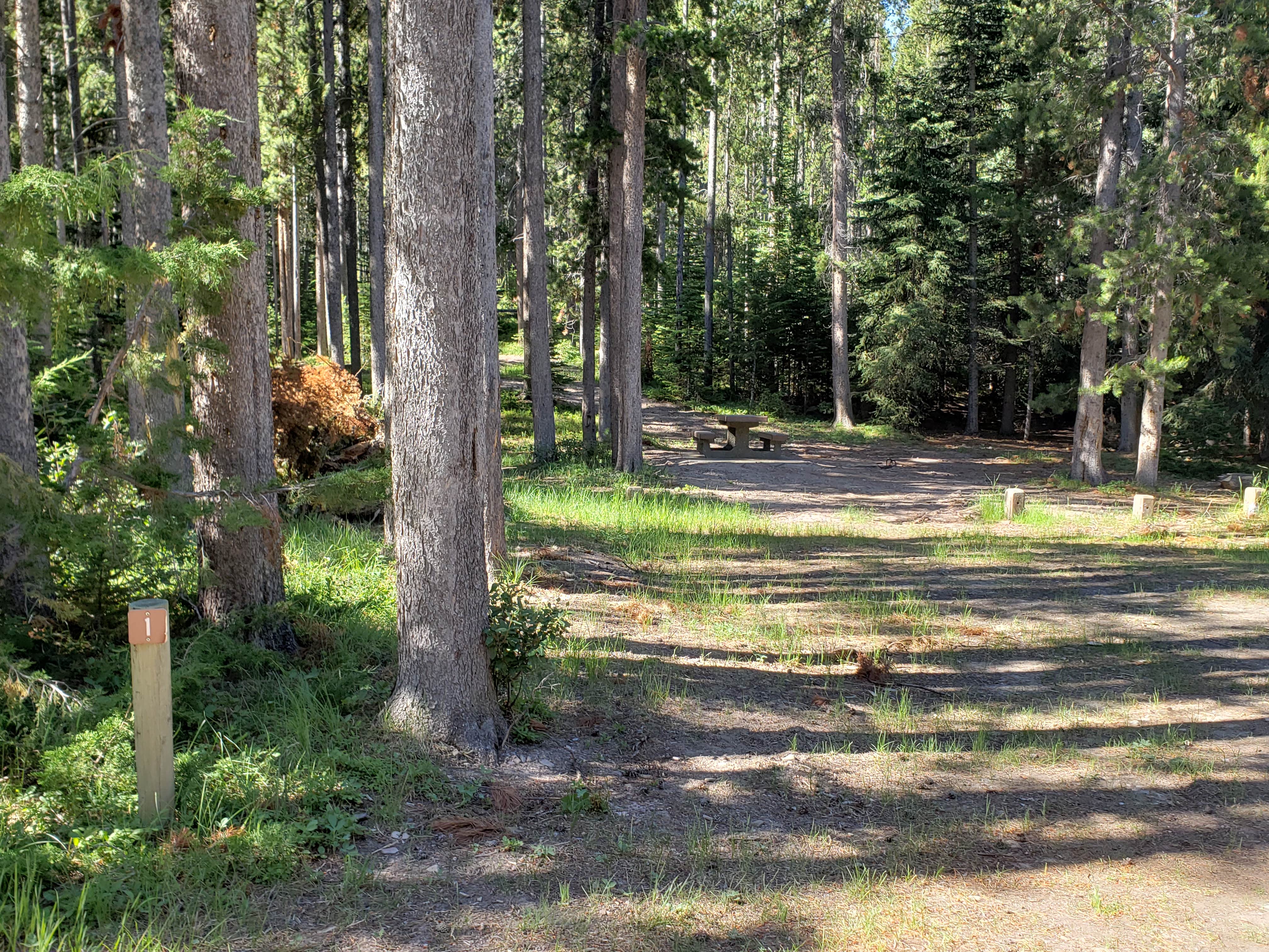 Camper-submitted photo at Benchmark near Choteau, MT