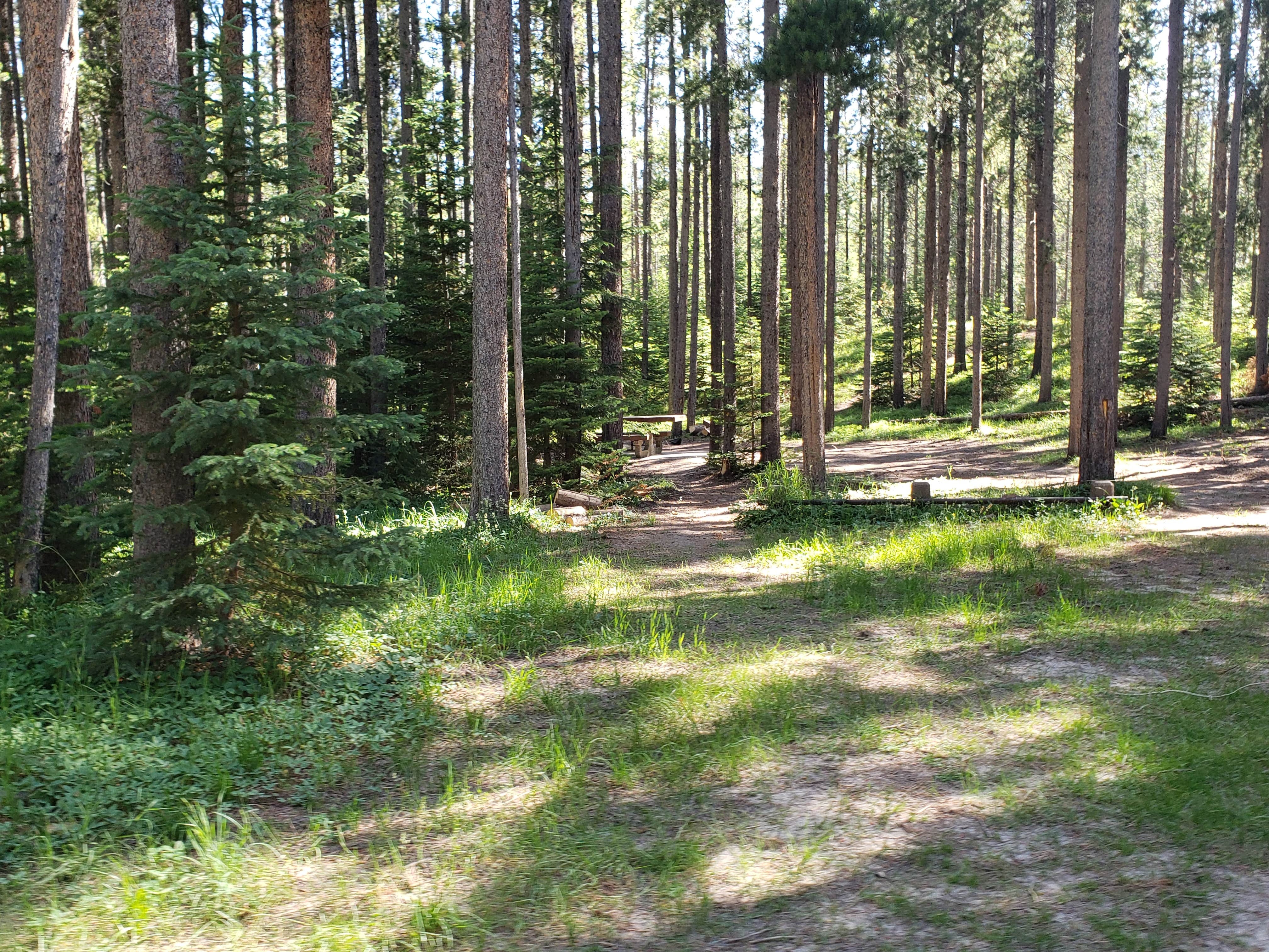 Camper-submitted photo at Benchmark near Choteau, MT