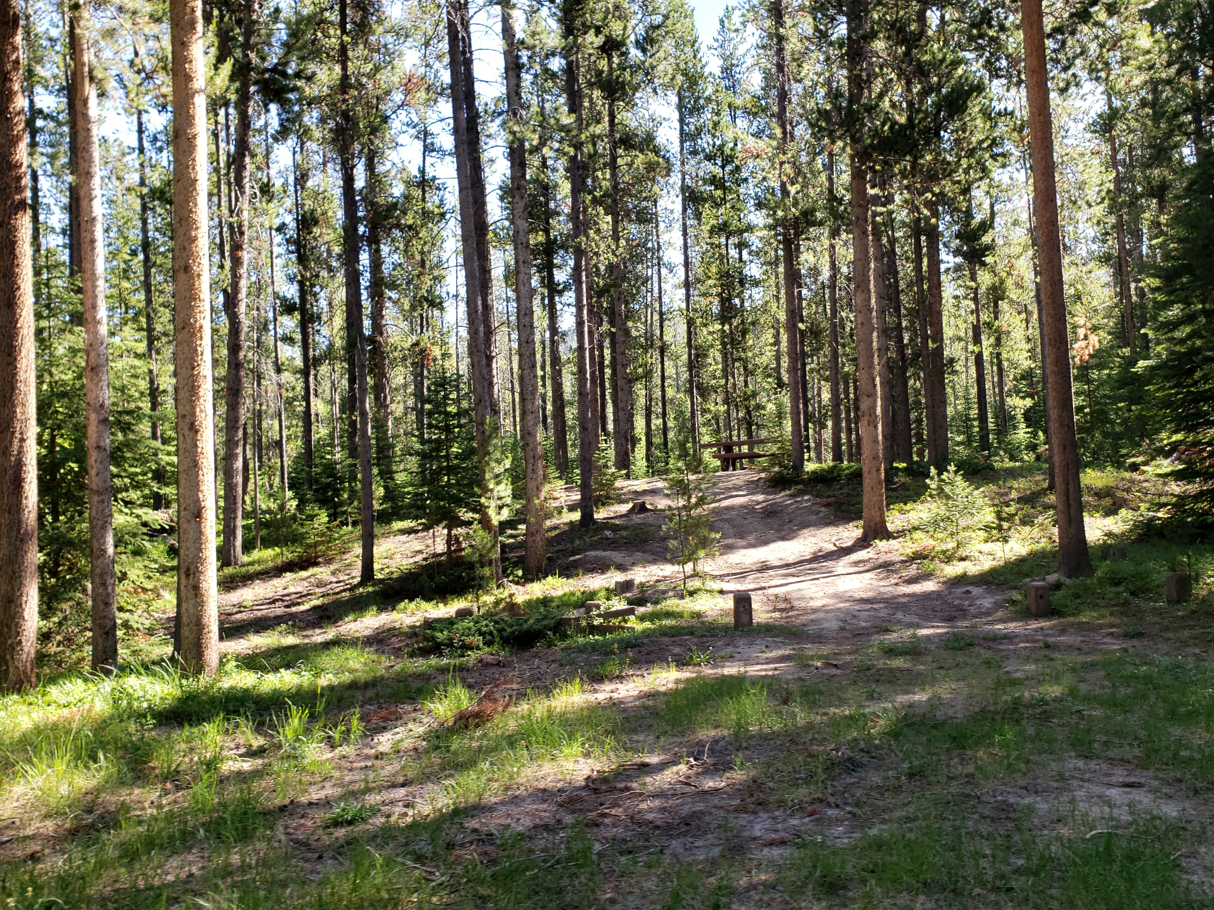 Camper-submitted photo at Benchmark near Choteau, MT