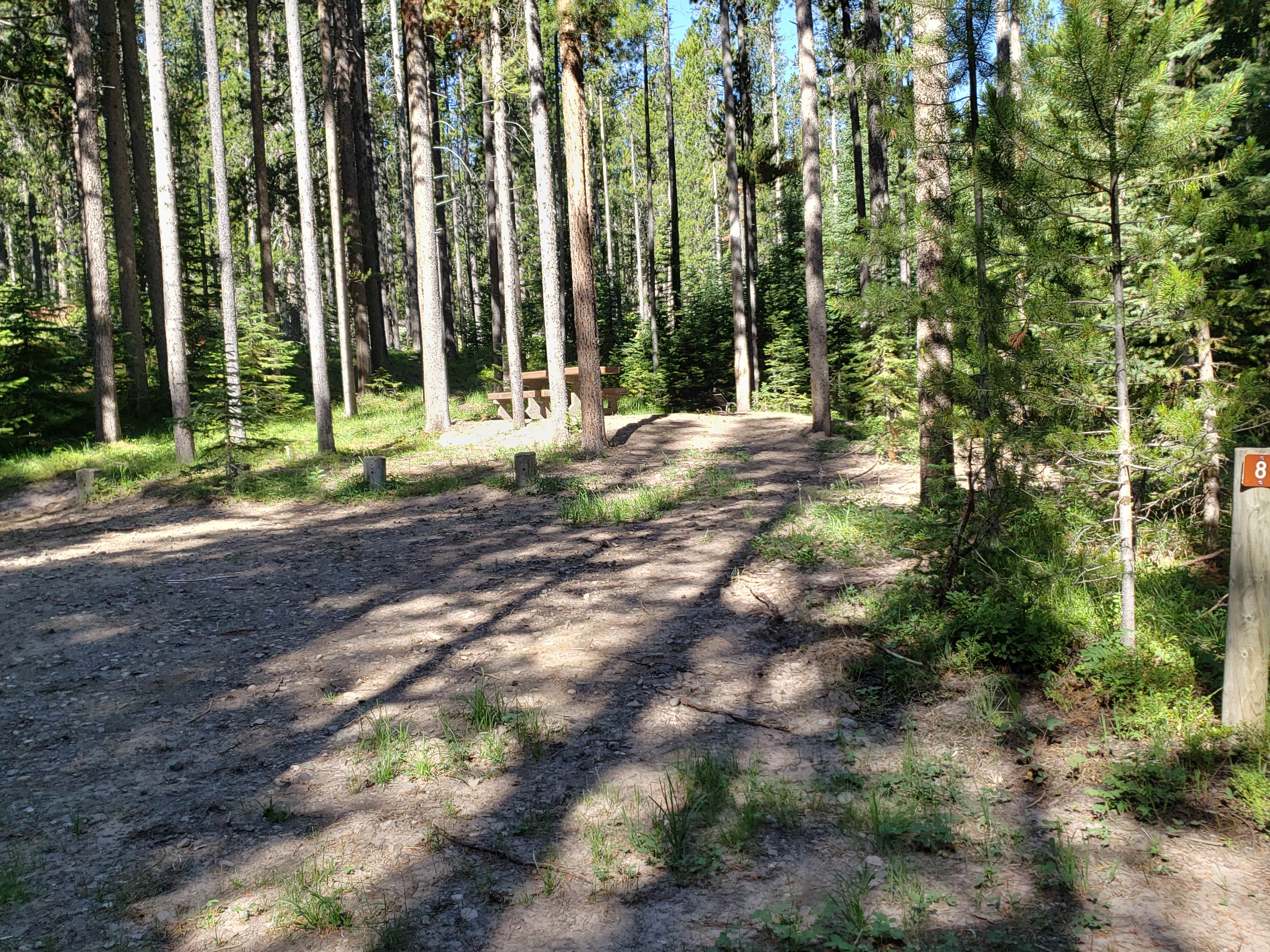 Camping near Kenck Cabin: Benchmark, Augusta, Montana