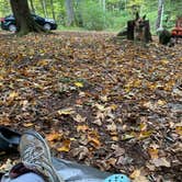 Review photo of Savage River State Forest by Kayla H., July 25, 2022