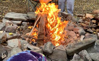 Kayla H.'s photo at Savage River State Forest in Maryland