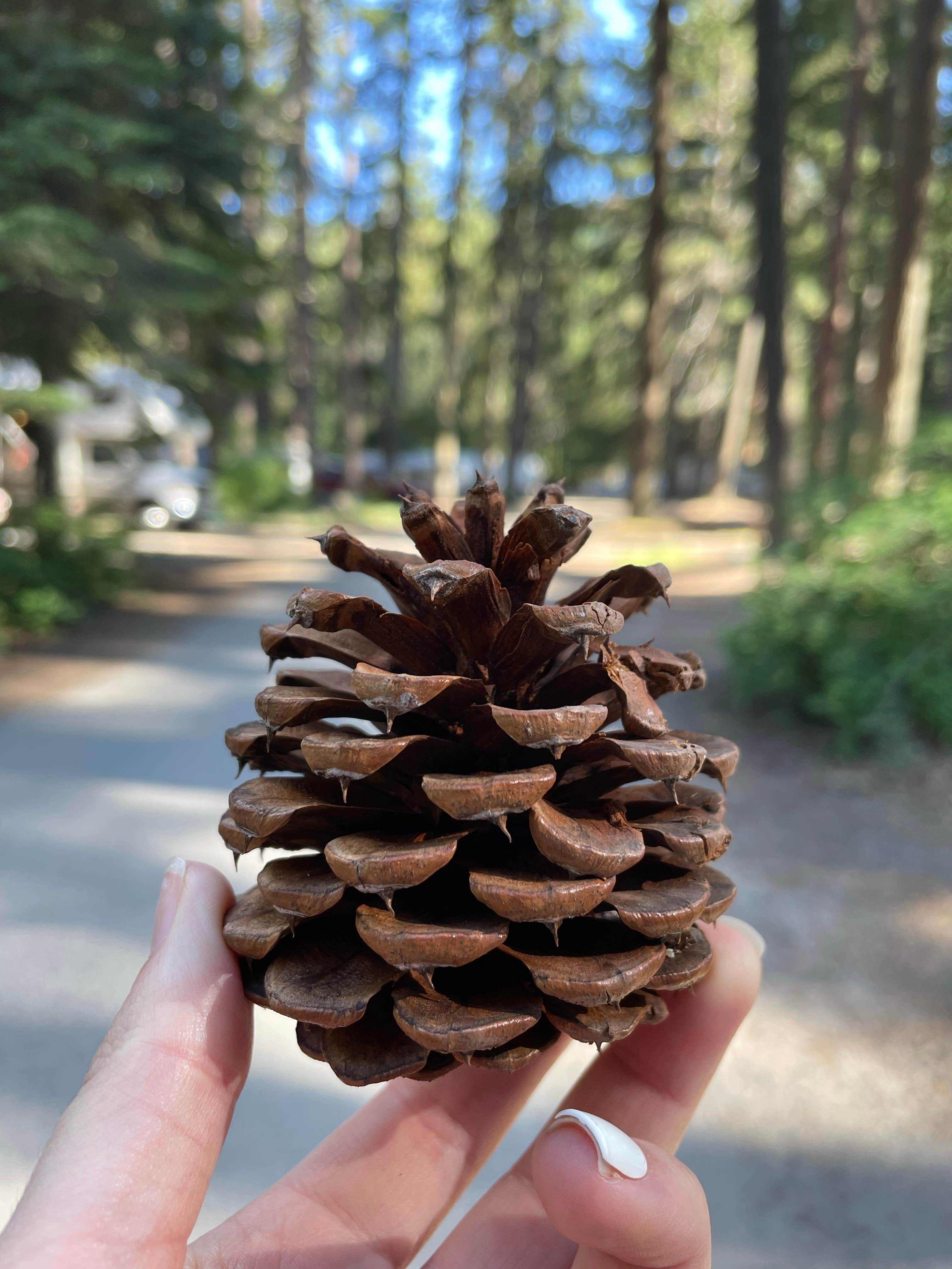 Camper-submitted photo at Silver Beach Resort near Kettle Valley, WA