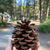 Review photo of Silver Beach Resort by Lanae , July 25, 2022