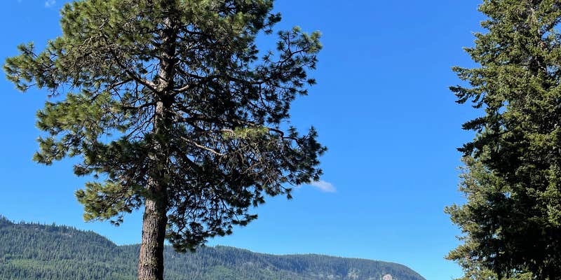 Camper submitted image from Silver Beach Resort