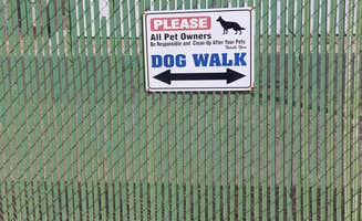 Jeff H.'s photo of camping with pets at Sunrise RV Park near Oatman, AZ