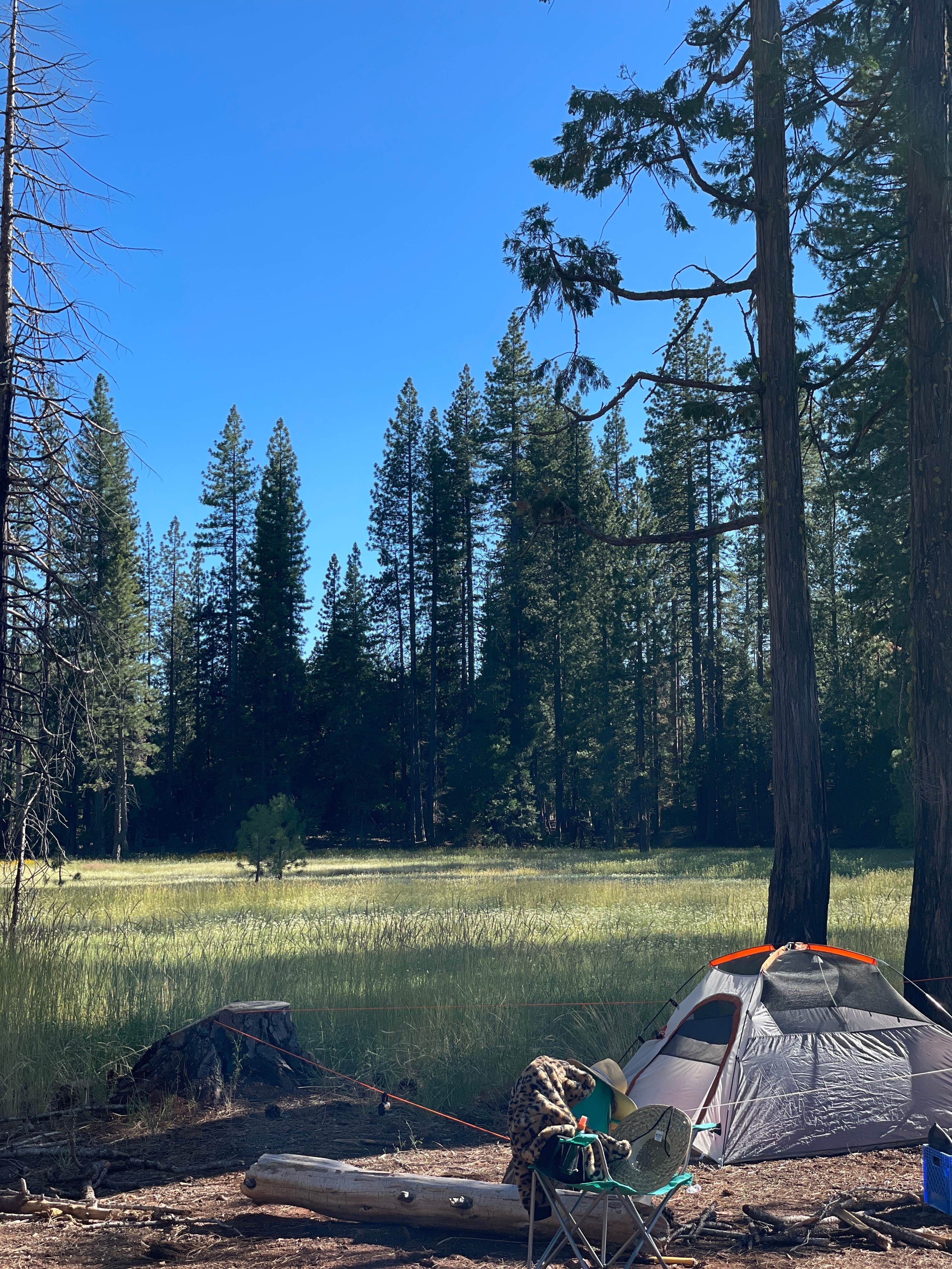 Caroline B.'s photo of tent camping at Tahoe National Forest Onion Valley Campground near South Lake Tahoe, CA