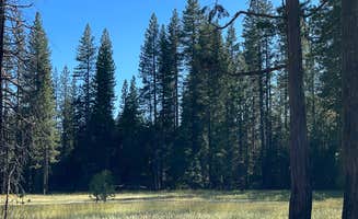 Caroline B.'s photo at Tahoe National Forest Onion Valley Campground near Gold Run, CA