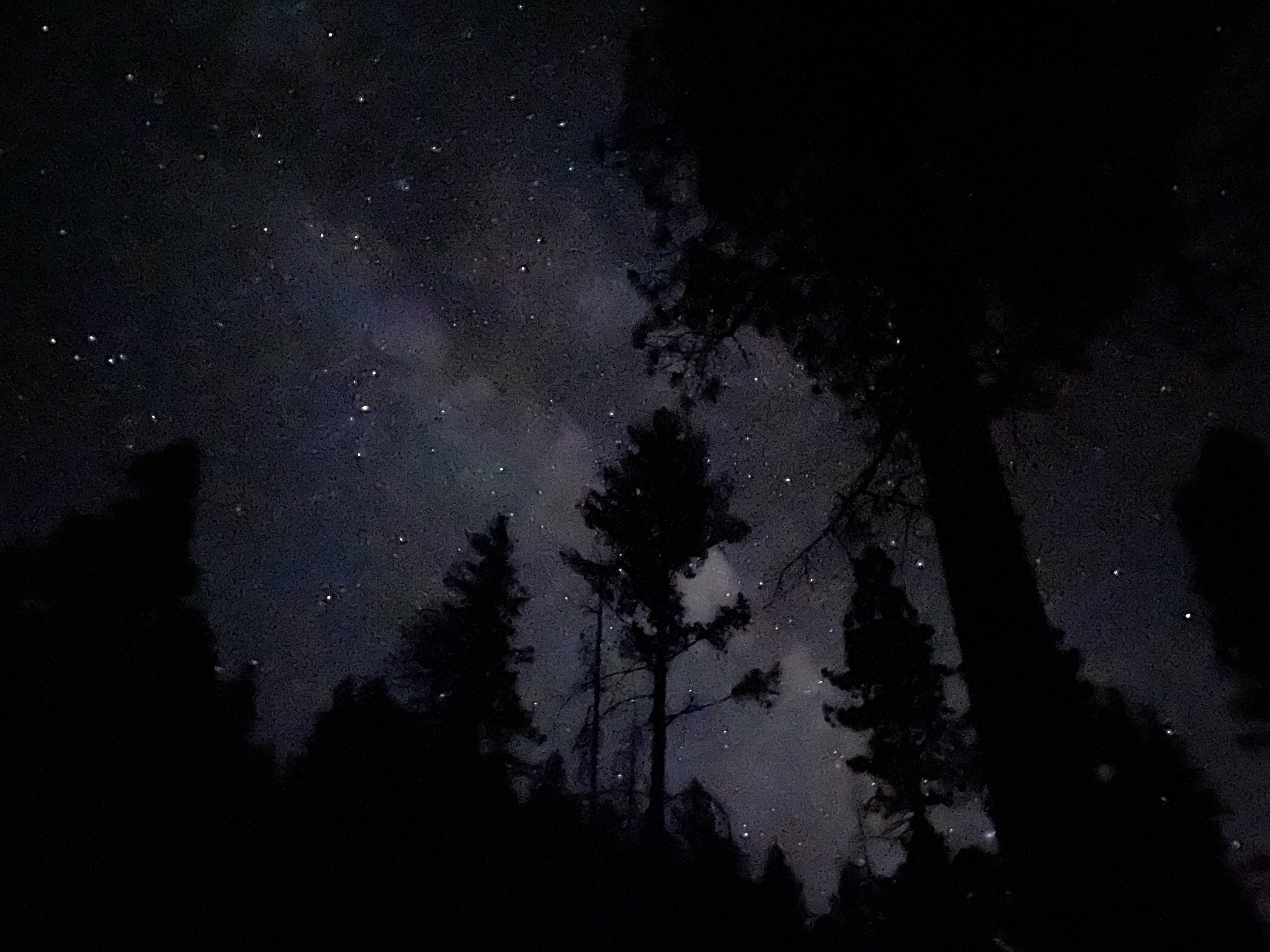 Camper-submitted photo at Tahoe National Forest Onion Valley Campground near Gold Run, CA