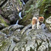 Review photo of Big Meadows Campground — Shenandoah National Park by Nick C., July 25, 2022