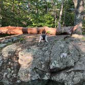 Review photo of Big Meadows Campground — Shenandoah National Park by Nick C., July 25, 2022