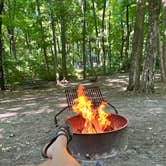 Review photo of South Bass Island State Park Campground by Beth , July 25, 2022