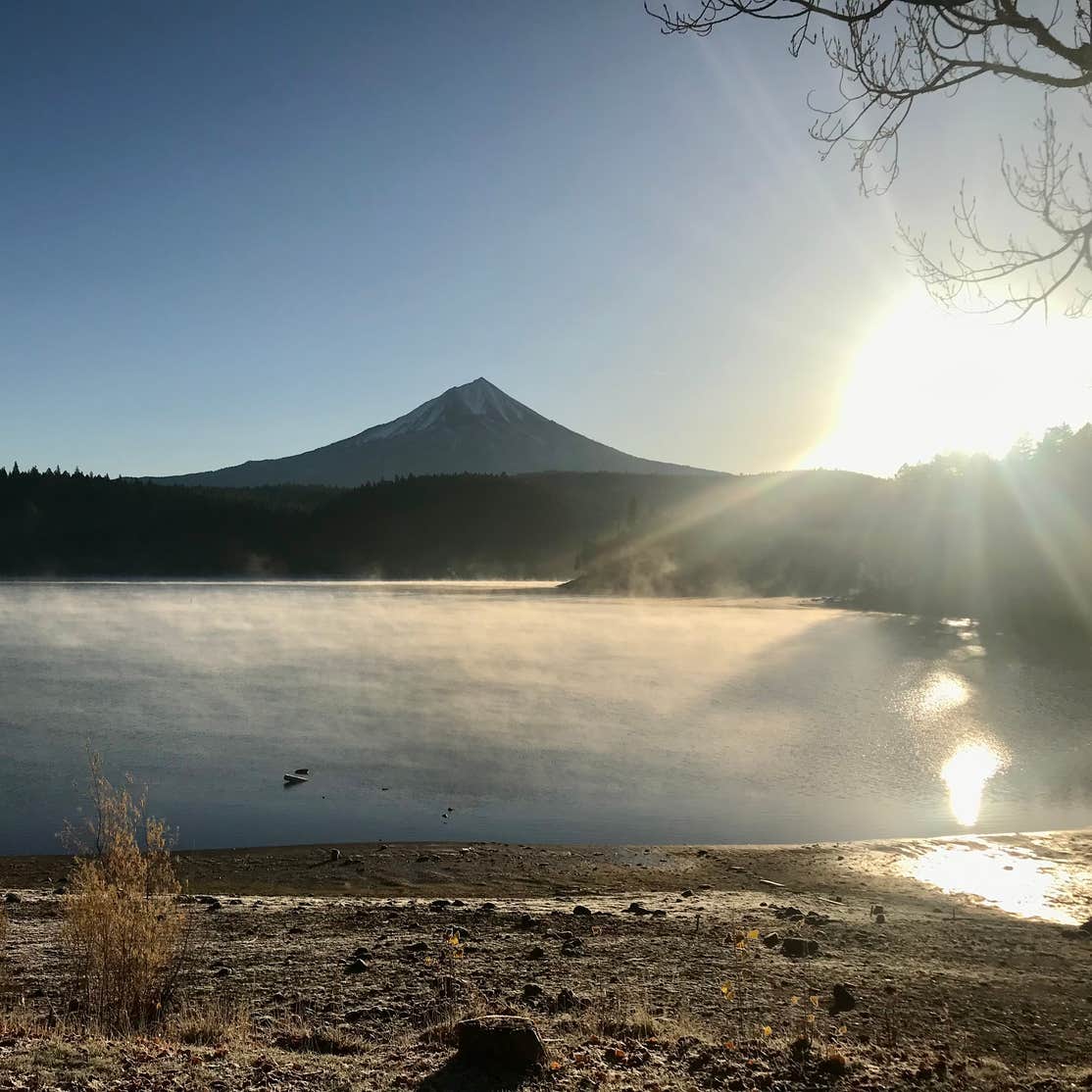 Willow Lake Resort Camping The Dyrt