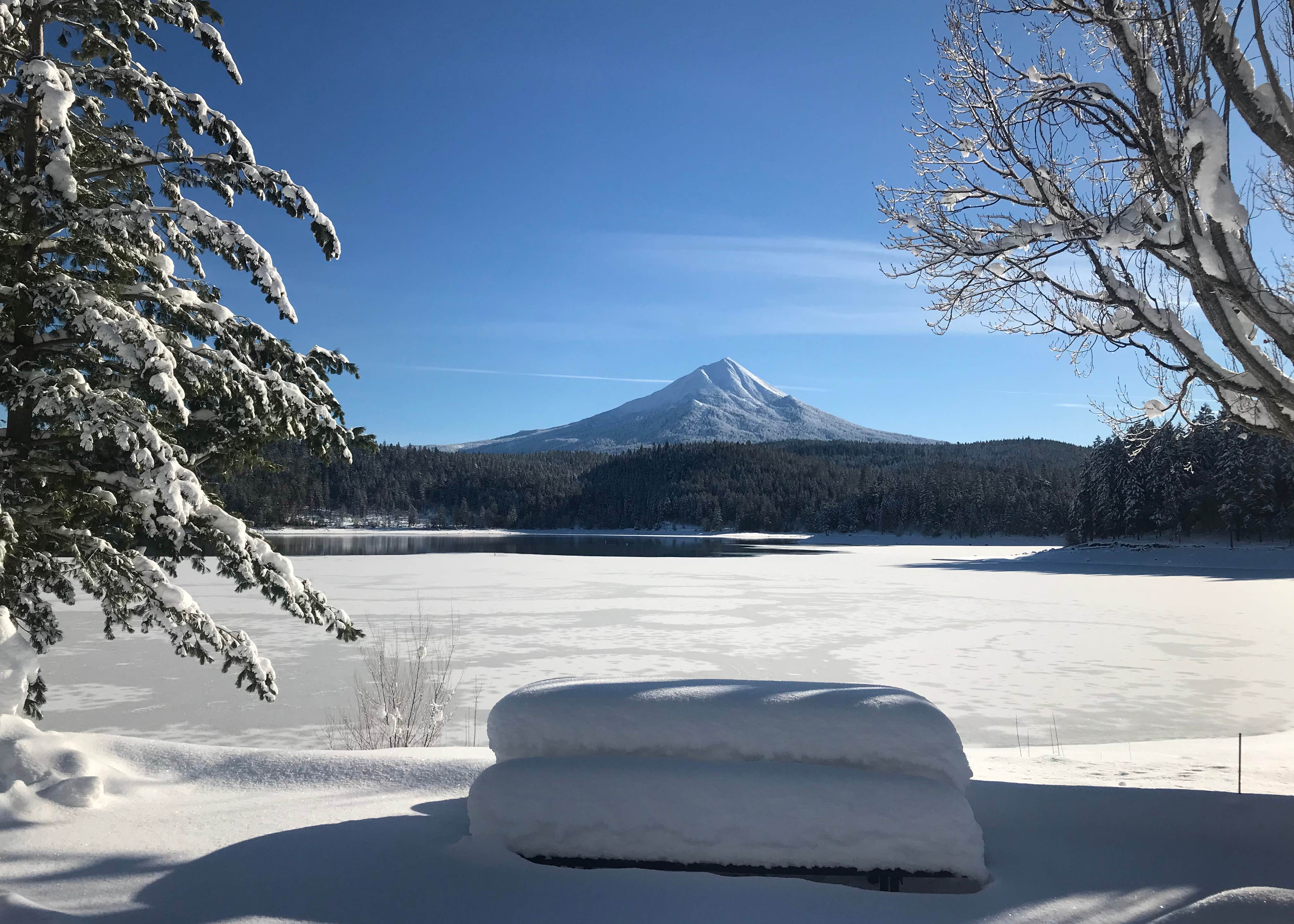 Willow Lake Resort Camping The Dyrt