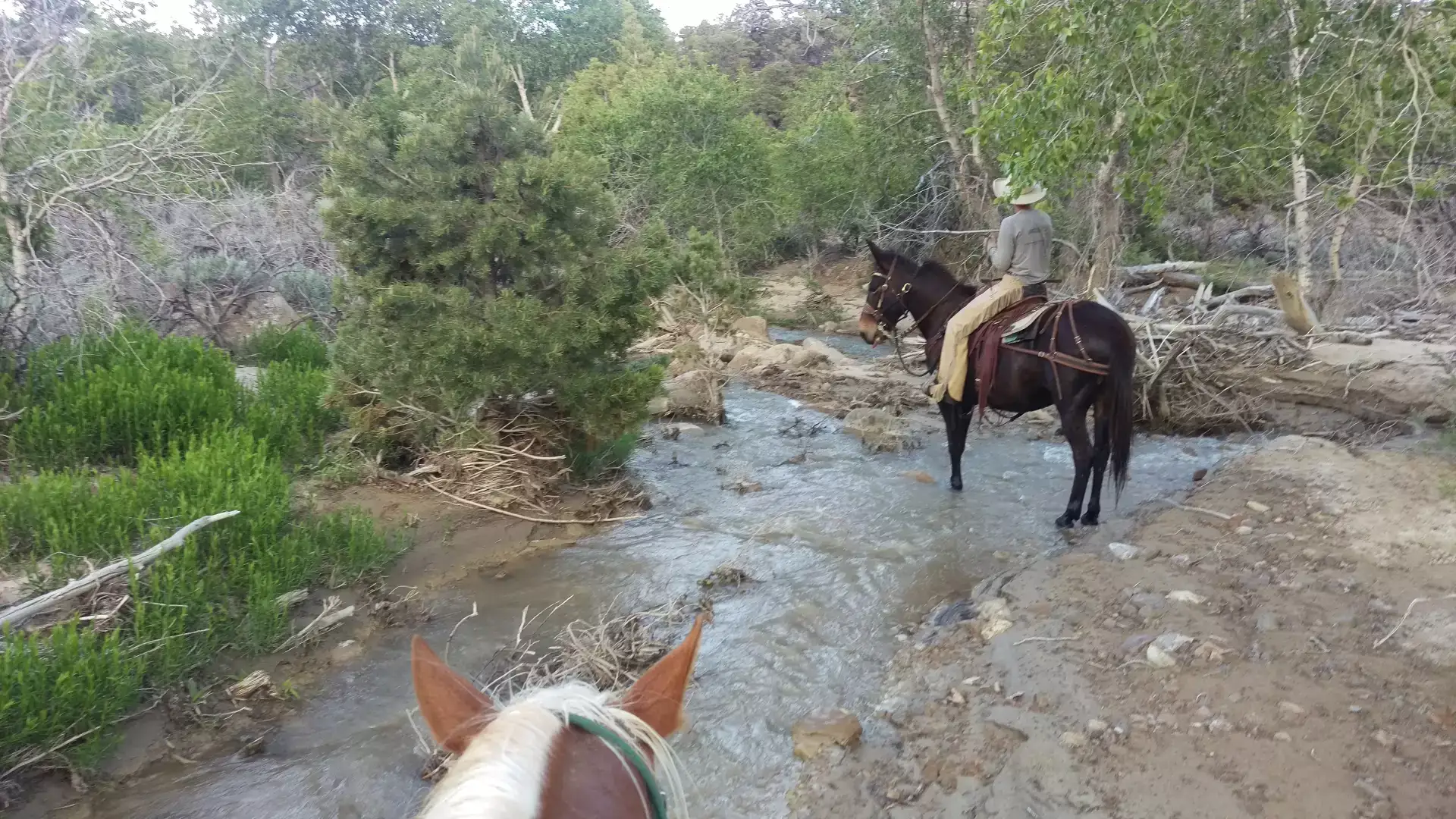 Camper-submitted photo at LZJ Ranch's Hiawatha Hideout! near Huntington, UT